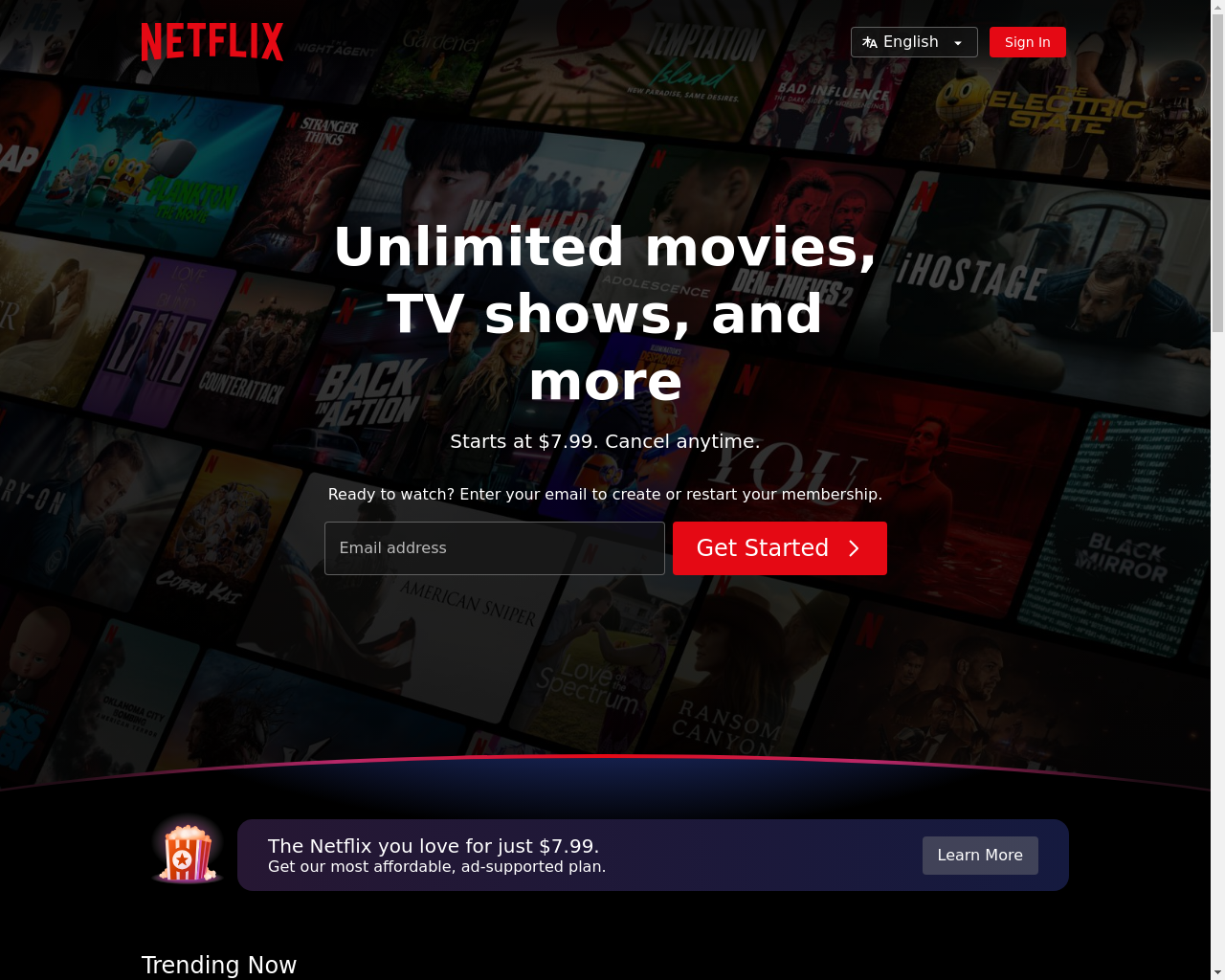 Screenshot of https://netflix.com